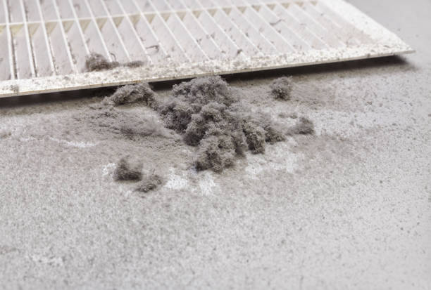 Best HVAC Duct Inspection Services  in Finderne, NJ